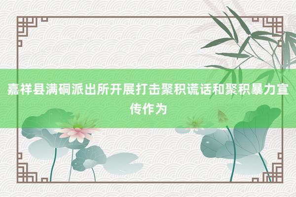 嘉祥县满硐派出所开展打击聚积谎话和聚积暴力宣传作为